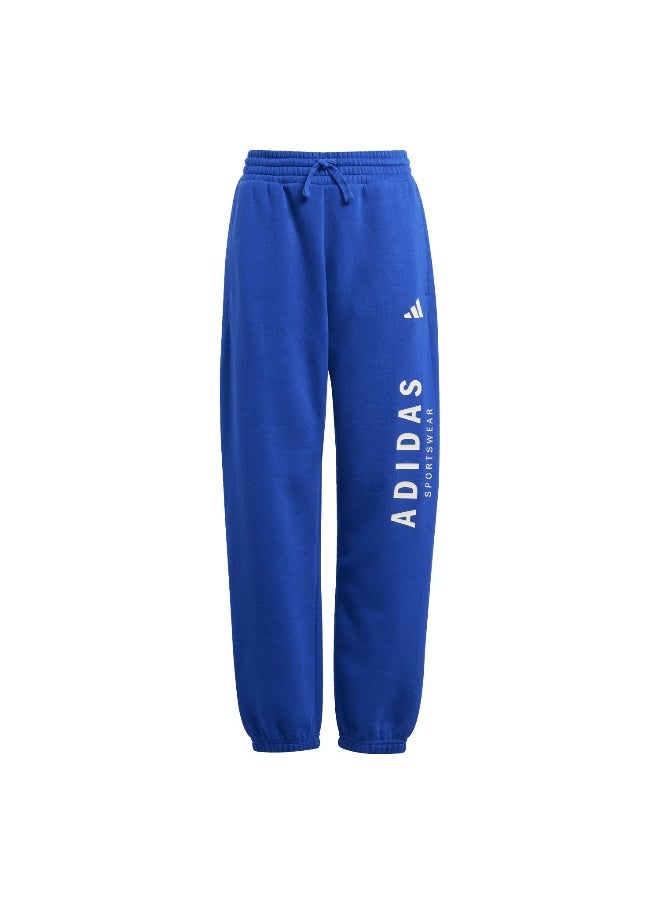 Adidas adidas j all szn gfx unisex pants  - Image 1