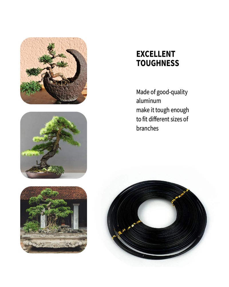 MoHern 6Pcs Bonsai Wire, 6 Sizes of 1mm, 1.5mm, 2mm, 2.5mm, 3mm, 4mm Black Aluminum Wire, Total 152 Feet Bonsai Tool Kitfor Bonzai Trees Indoor - Image 4