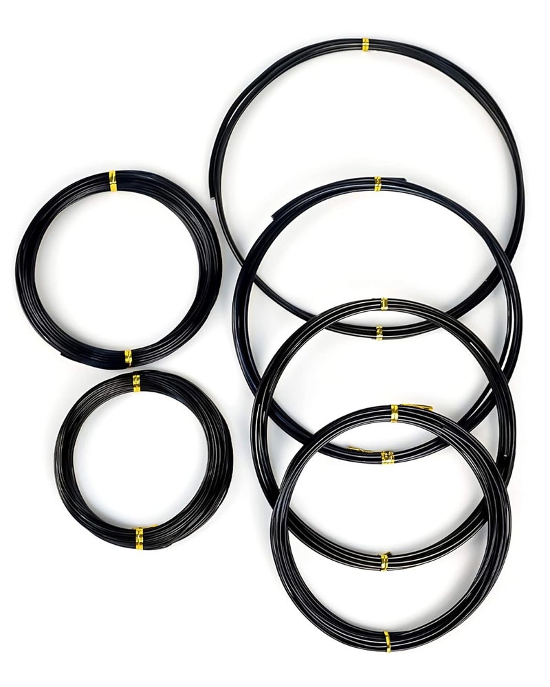 MoHern 6Pcs Bonsai Wire, 6 Sizes of 1mm, 1.5mm, 2mm, 2.5mm, 3mm, 4mm Black Aluminum Wire, Total 152 Feet Bonsai Tool Kitfor Bonzai Trees Indoor - Image 1