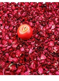 Dried Rose Petals, 500g - Red - pzsku/ZD4CBE8438C4A4FB291B4Z/45/_/1724966997/55bd3dcf-61b8-4201-ab42-62e27c89bbad