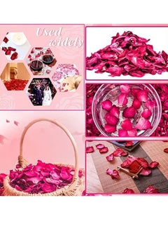 Dried Rose Petals, 500g - Red - pzsku/ZD4CBE8438C4A4FB291B4Z/45/_/1724967027/6bd81d81-6600-4bdf-8547-d04d627ce740