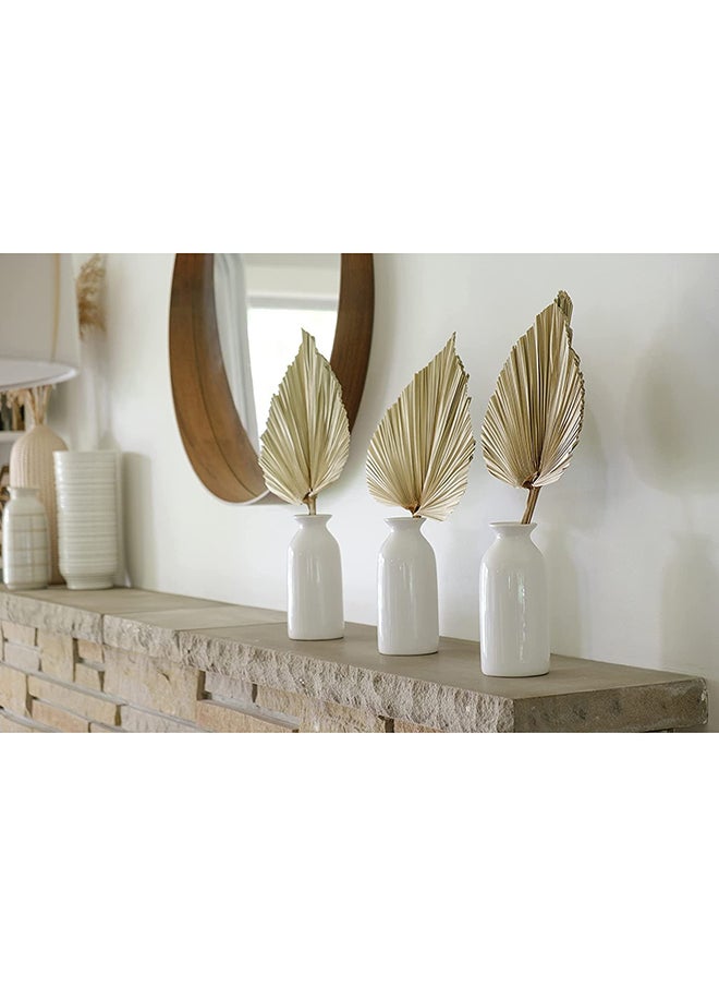 Generic 3-Piece Natural Dried Palm Leaves - Real Fan Palm Fronds Hand-Trimmed Into Decorative Palm Spears For Centrepieces, Floral Arrangements, Wall Art, And More  - Image 2