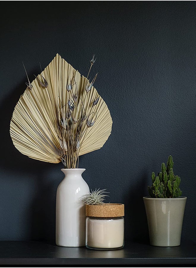 Generic 3-Piece Natural Dried Palm Leaves - Real Fan Palm Fronds Hand-Trimmed Into Decorative Palm Spears For Centrepieces, Floral Arrangements, Wall Art, And More  - Image 3