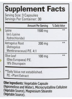 Quantum Health, Super Immune Vegetarian Capsule, 90-Count Packages (Pack of 2) - pzsku/ZD4CD5411699AE252F319Z/45/_/1735907783/a83dd505-5000-43a7-b820-4e9f111d8108