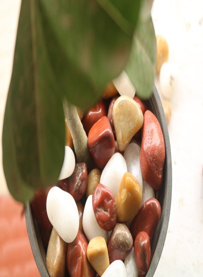 Wowtag Red,White and Brown Combo Polished Pebbles, 2-4 CM,1.95 KG, Large Size, Pebbles for Plants, Aquarium, Garden, Home Decoration, Vase Filler, Craft Work - Image 5
