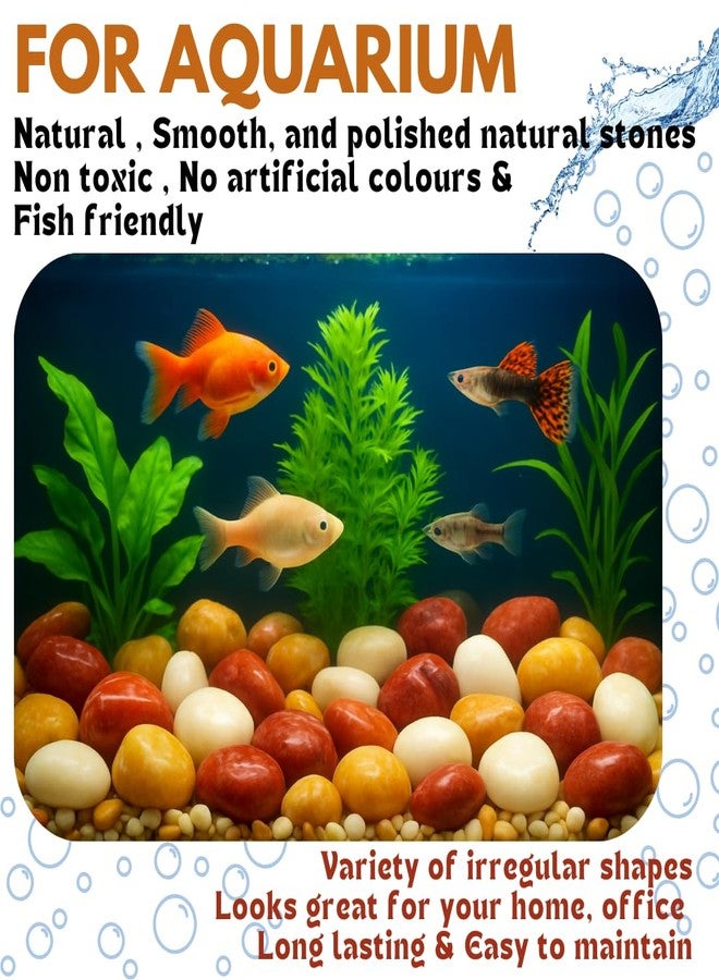 Wowtag Red,White and Brown Combo Polished Pebbles, 2-4 CM,1.95 KG, Large Size, Pebbles for Plants, Aquarium, Garden, Home Decoration, Vase Filler, Craft Work - Image 3