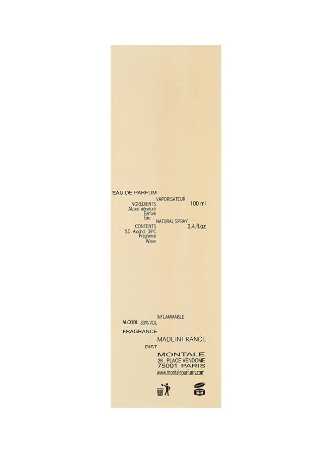 MONTALE Dark Aoud EDP 100ml - Image 5