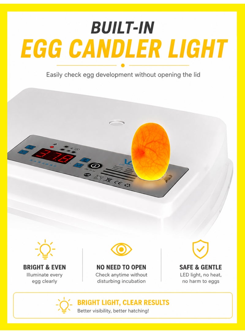 MS MIN Household Small Incubator Automatic Egg Turning Intelligent Egg Hatching Machine Digital Display Temperature and Humidity Control Used for Hatching Chickens, Ducks, Geese, Etc - Image 3