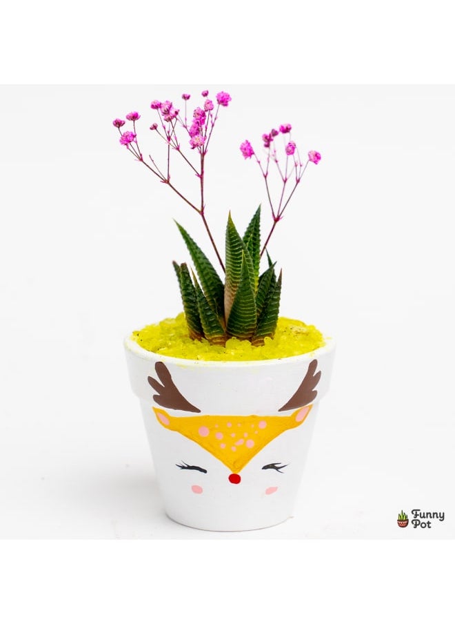 Funny Pot Cactus pottery pot 