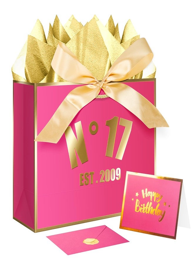 XiaosRen 17th Hot Pink Birthday Gift Bag with Card, Tissue Paper and Ribbon for Women Girls Birthday Party Favor, Presents Wrapping (12.6" EST 2009) - Image 1