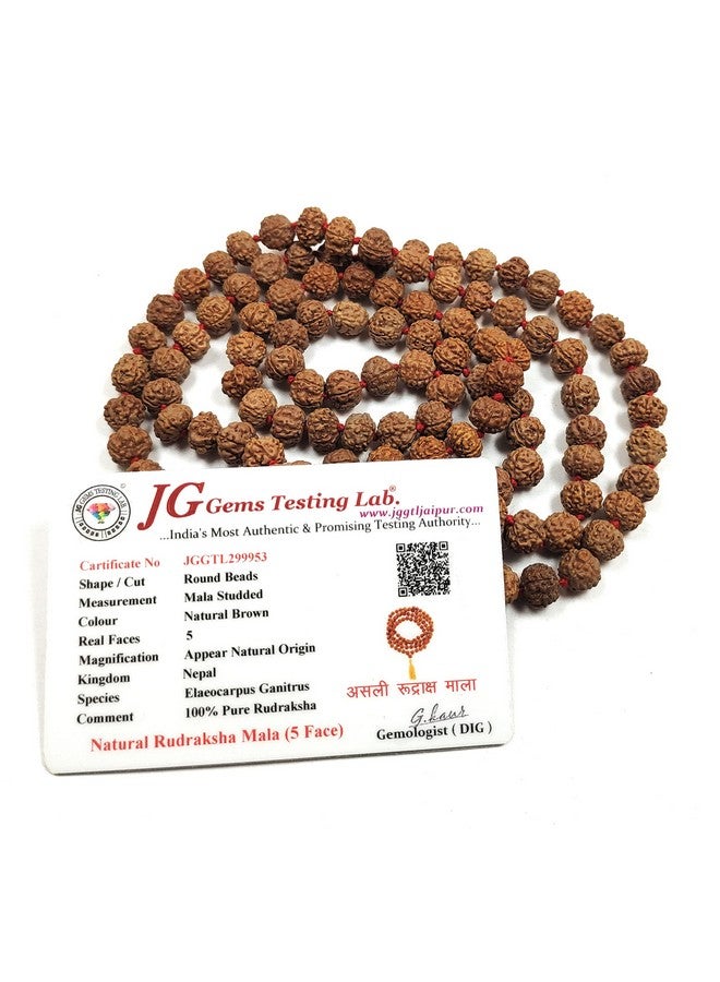 Rocksmins خرز رودراکشا بانش موخي الطبيعي الأصلي 5 مع شهادة مختبر (108+1 مضمونة) 8 مم للعبادة والتنجيم وارتداء في الرقبة/الاحتفاظ للرجال والنساء والأولاد والبنات للحماية والتأمل - Image 1