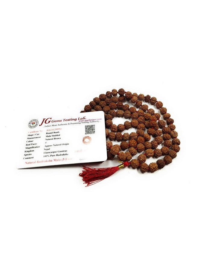 Rocksmins خرز رودراکشا بانش موخي الطبيعي الأصلي 5 مع شهادة مختبر (108+1 مضمونة) 8 مم للعبادة والتنجيم وارتداء في الرقبة/الاحتفاظ للرجال والنساء والأولاد والبنات للحماية والتأمل - Image 2