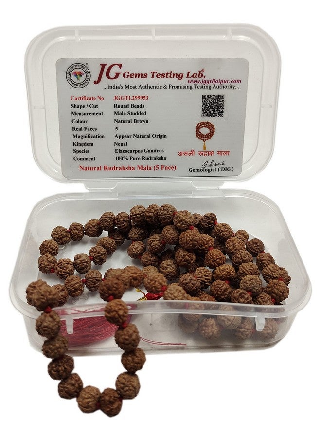 Rocksmins خرز رودراکشا بانش موخي الطبيعي الأصلي 5 مع شهادة مختبر (108+1 مضمونة) 8 مم للعبادة والتنجيم وارتداء في الرقبة/الاحتفاظ للرجال والنساء والأولاد والبنات للحماية والتأمل - Image 4