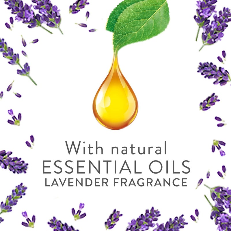 Scented Oil Fragrance Diffuser Refill, Lavender Scent, 19ml - Image 2