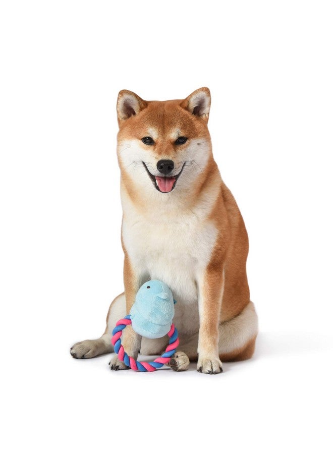 Peeps for Pets Chick 6 Inch Blue Plush Rope Pull Toy for Dogs - Image 2