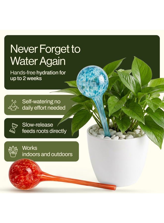 Besti Self Watering Globes for Plants (4-Pack) Waters Greenery Up to 2 Weeks Hands Free | Durable, Multicolored Glass Craftsmanship | Indoor and Outdoor Use - Image 2