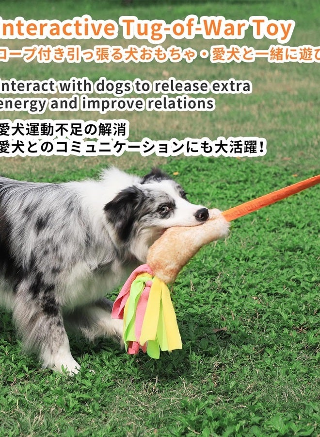 SCHITEC Dog Tug Toy, Bungee Tug of War Rope Toys with Squeaky Sound for Exercise & Interactive Play Games, Puppy Training Pull Toy for Small Medium Large Dogs - Image 2