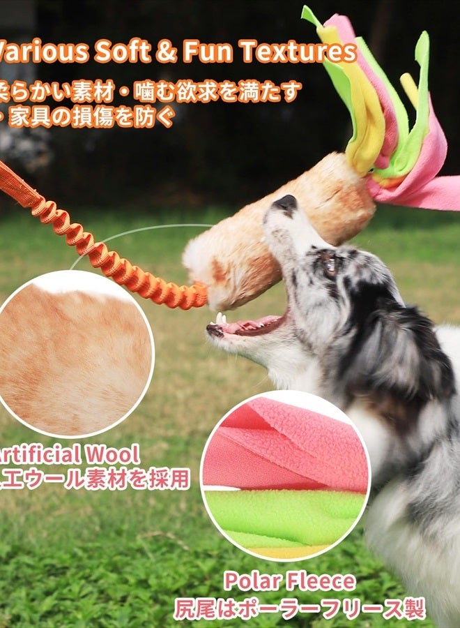 SCHITEC Dog Tug Toy, Bungee Tug of War Rope Toys with Squeaky Sound for Exercise & Interactive Play Games, Puppy Training Pull Toy for Small Medium Large Dogs - Image 5