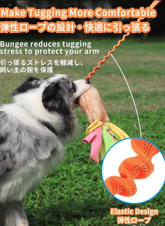 SCHITEC Dog Tug Toy, Bungee Tug of War Rope Toys with Squeaky Sound for Exercise & Interactive Play Games, Puppy Training Pull Toy for Small Medium Large Dogs - Image 3
