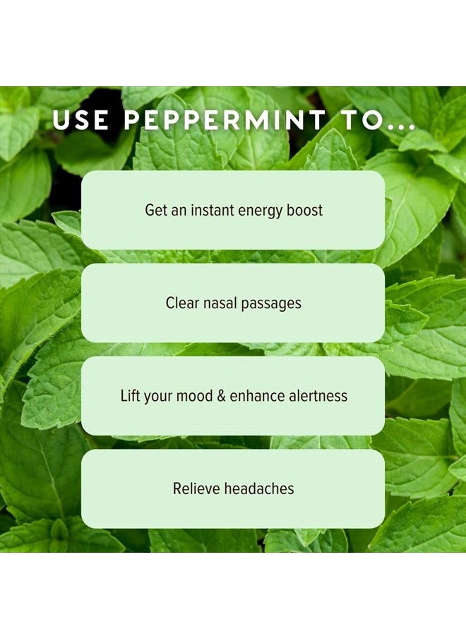 MOXE - MOXĒ Peppermint Essential Oil Nasal Inhaler, Therapeutic No-Mess Aromatherapy, Cooling, Refreshing, Invigorating, Uplifts Mood and Positivity, Pure and Undiluted, Made in USA (3 Pack)` - Image 1
