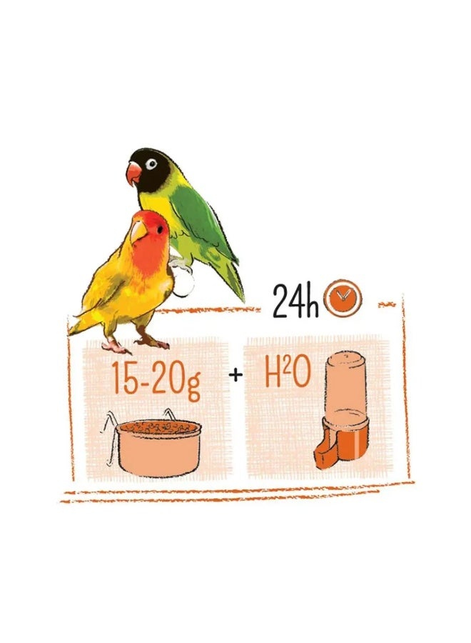 ويت مولين بور شينشيلا وديجو ​​2 كجم - Image 3