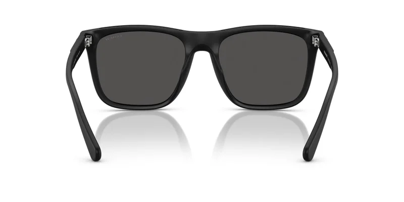 COACH Coach Man Injected Sunglasses