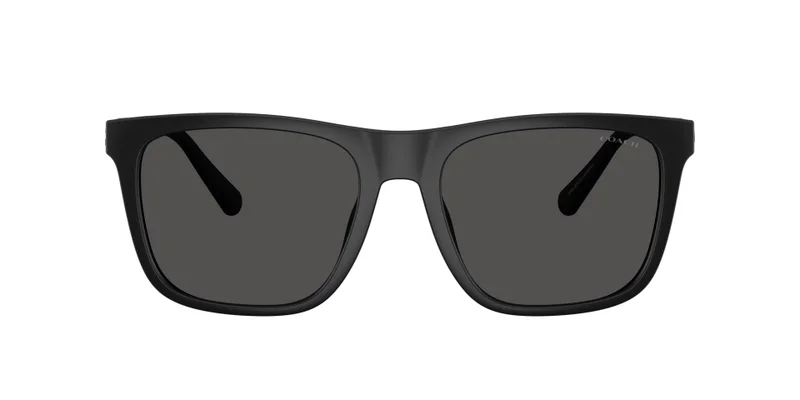 COACH Coach Man Injected Sunglasses