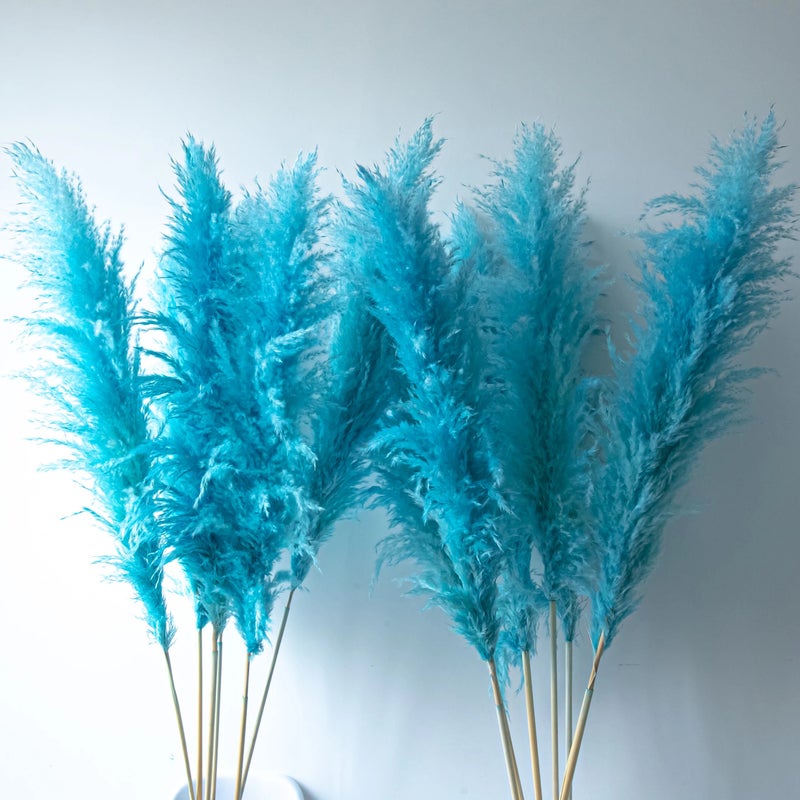 Bluejw Natural Pampas Grass Arch Flowers Turquoise Blue Bouquet - Dried Pampas Grass Extra Fluffy - Large Dried Flowers for Boho Wedding Decor & Home Decor - Dried Plants Included - Image 2