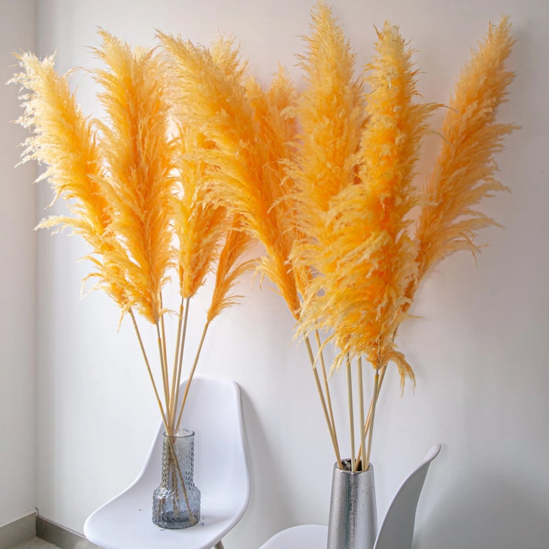Bluejw Natural Pampas Grass Arch Flowers Turquoise Blue Bouquet - Dried Pampas Grass Extra Fluffy - Large Dried Flowers for Boho Wedding Decor & Home Decor - Dried Plants Included - Image 3