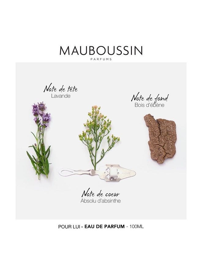 MAUBOUSSIN Pour Lui 100ml (3.3 Fl Oz) - Eau de Parfum for Men - Ferny & Modern Scents  - Image 3