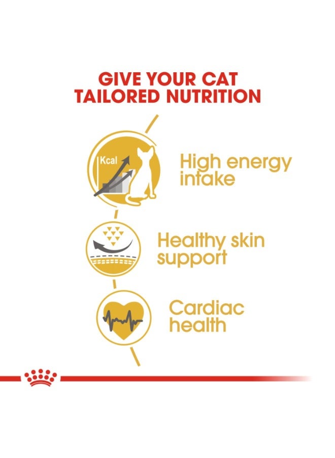 رويال كانين تغذية سلالة القطط سفينكس 2 كجم - Image 4