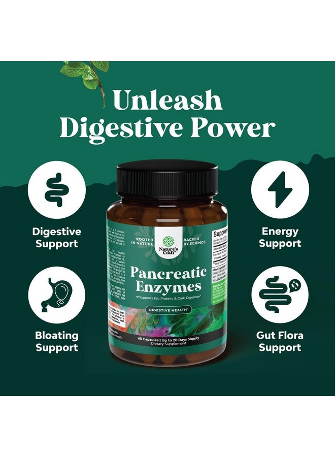 Natures Craft Pancreatin Digestive Enzymes Digestion for Gut Health - Pancreatic Digestive Enzymes for Women & Men with Protease, Lipase & Amylase - Bloating, Stomach Health, Fat, Carb & Protein - 60 Count - Image 4