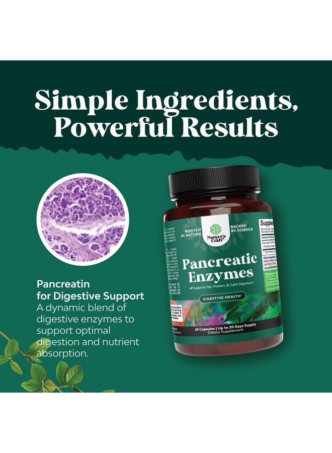 Natures Craft Pancreatin Digestive Enzymes Digestion for Gut Health - Pancreatic Digestive Enzymes for Women & Men with Protease, Lipase & Amylase - Bloating, Stomach Health, Fat, Carb & Protein - 60 Count - Image 5