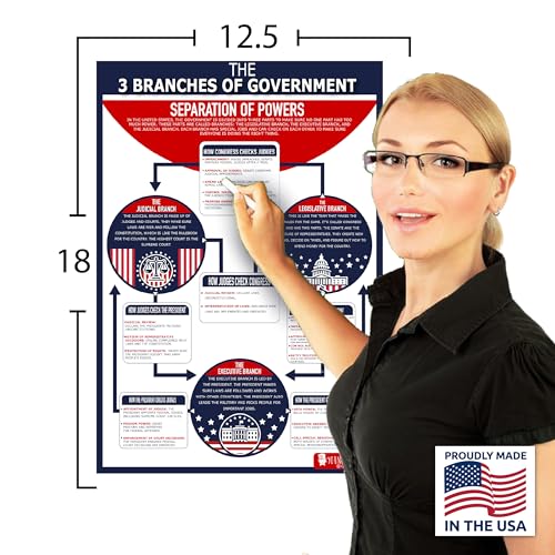 Young N Refined 16 US Government History LARGE poster pack Charts for classrooms 12.5x18 Matt USA MADE - Image 2