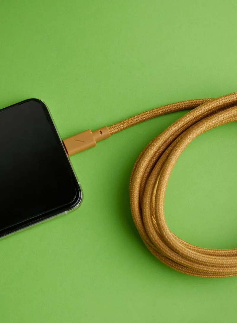 Native Union Native Union - Belt 3M Cable - Usb C To Lightning