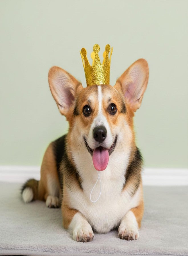 Vesil Glitter Dog Birthday Crown, Cat Birthday Hat for Small Pet, Adjustable Gold Party Hat for Puppy & Kitten Celebrations, Royal Pet Costume Accessories for Photo Props, 1 PCS - Image 4