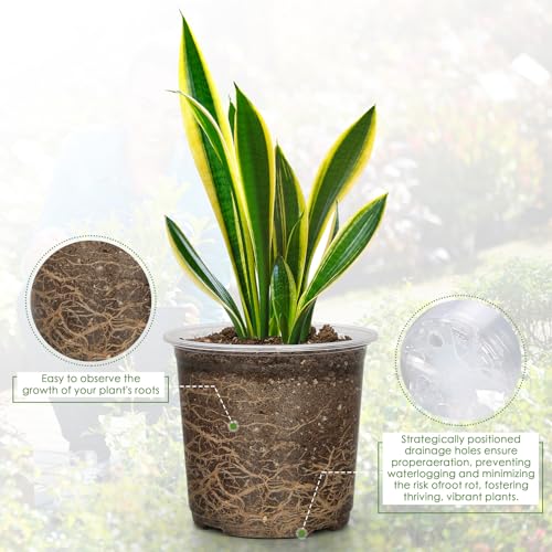 FUIJOL 7 Inch Clear Nursery Pots for Plants with Sacuers 15 Pack, Plastic Flower Pots with Drainage Holes, Variety Pack Seedlings Garden Pot for Indoor Outdoor (7 inch) - Image 3