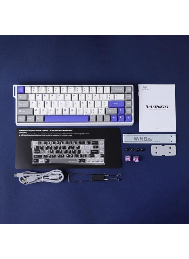 WIN68 HE Max Magnetic Keyboard with Adjustable Actuation, Hall Effect Win Chun Magnetic Switch Keyboard with 0.3ms Latency, RGB 65% Wired Compact Keyboard, 8000 Hz Polling Rate, Hot-Swap