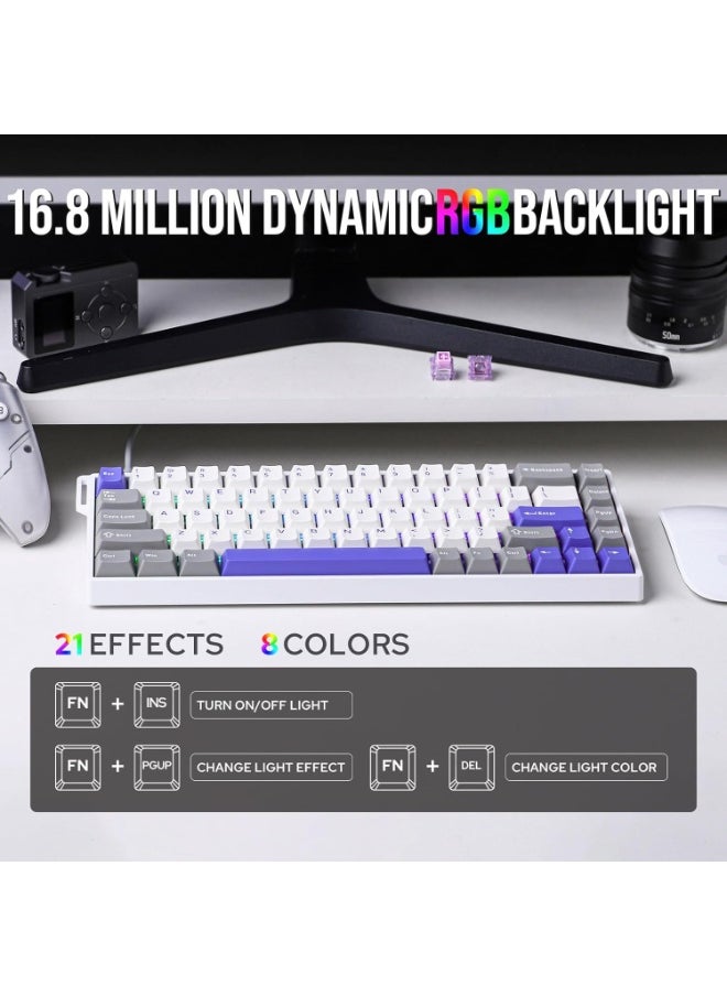 WIN68 HE Max Magnetic Keyboard with Adjustable Actuation, Hall Effect Win Chun Magnetic Switch Keyboard with 0.3ms Latency, RGB 65% Wired Compact Keyboard, 8000 Hz Polling Rate, Hot-Swap