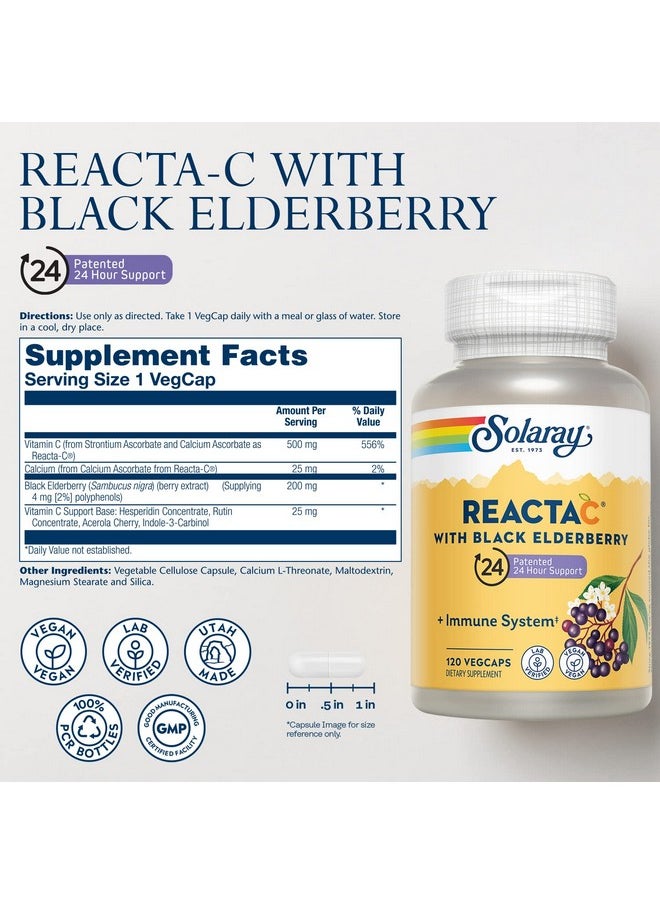 Solaray - SOLARAY Reacta-C with 500mg Vitamin C, 200mg Sambucus Black Elderberry Extract, Immune System Defense Vitamins, Patented 24 Hour Immunity Booster Support Supplement, Vegan, 120 Capsules, 120 Servings - Image 1