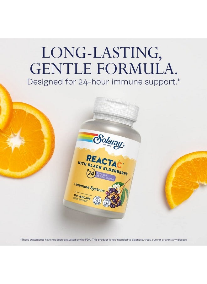 Solaray - SOLARAY Reacta-C with 500mg Vitamin C, 200mg Sambucus Black Elderberry Extract, Immune System Defense Vitamins, Patented 24 Hour Immunity Booster Support Supplement, Vegan, 120 Capsules, 120 Servings - Image 1