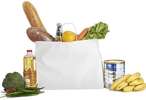 PPJ ® - PLAIN WHITE CRAFT (10 PCS) PAPER CARRY BAG, 16 Inch X 12 Inch X 6 Inch for DIWALI/WEDDING/FUNCTION/BIRTHDAY/RETURN GIFTS/CHRISTMAS/SHOPPING/GIFTING/GIFT BAGS/GIFT COVERS (Pack of 10) - Image 5