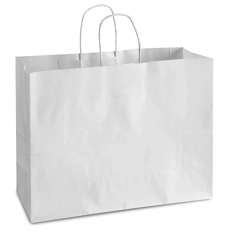 PPJ ® - PLAIN WHITE CRAFT (10 PCS) PAPER CARRY BAG, 16 Inch X 12 Inch X 6 Inch for DIWALI/WEDDING/FUNCTION/BIRTHDAY/RETURN GIFTS/CHRISTMAS/SHOPPING/GIFTING/GIFT BAGS/GIFT COVERS (Pack of 10) - Image 1