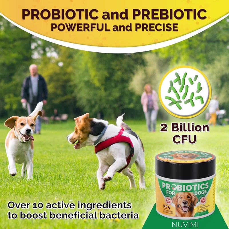 NUVIMI Probiotics for Dogs, 120 Chicken Flavor Dog Probiotic & Prebiotic Tablets, Immune Boost & Digestive Support for Upset Tummy, Loose Stools & Bloating, 1-4 Month Supply by - Image 2