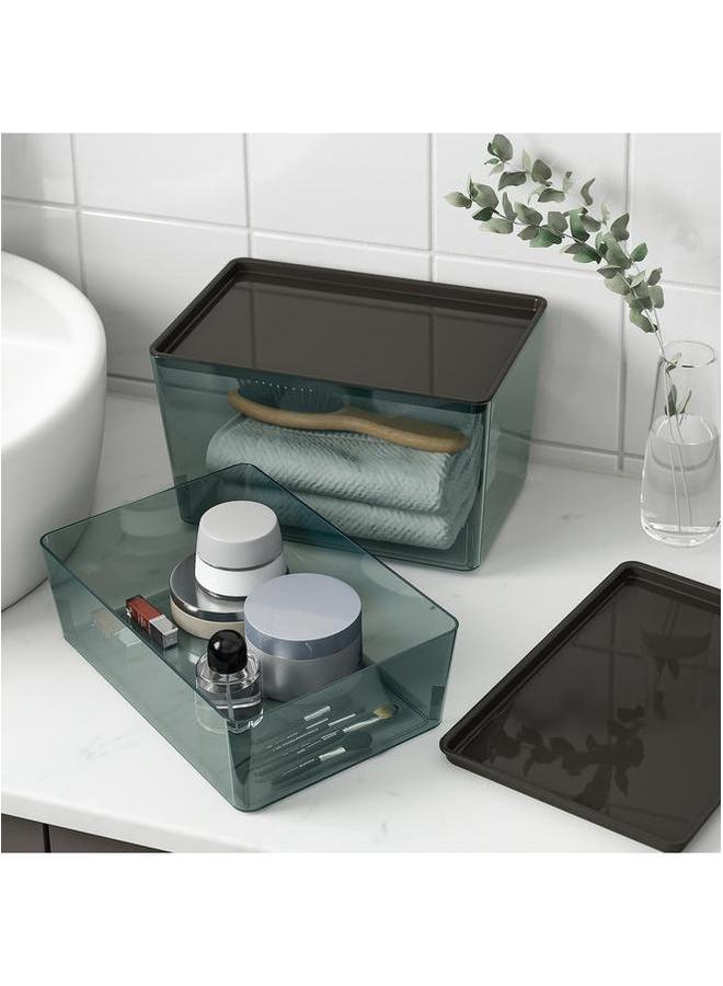 erorex Box With Lid Transparent Black 18X26X8 Cm - Image 5