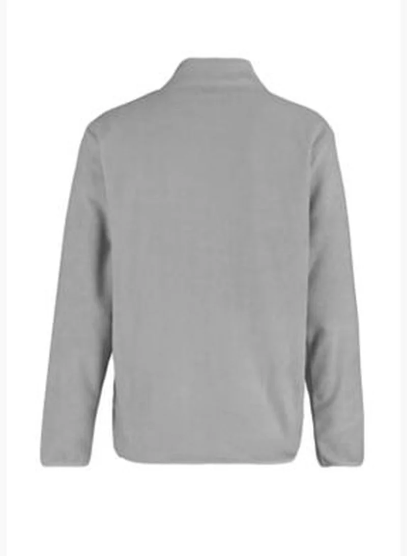 trendyol Men's Gray Regular/Normal Fit Zipper Detail High Neck Warm Thick Fleece Sweatshirt