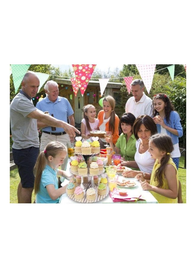 NIBEMINENT 3 Tier Cake Display Stand And Fruit Plate Silver Striped - Image 4