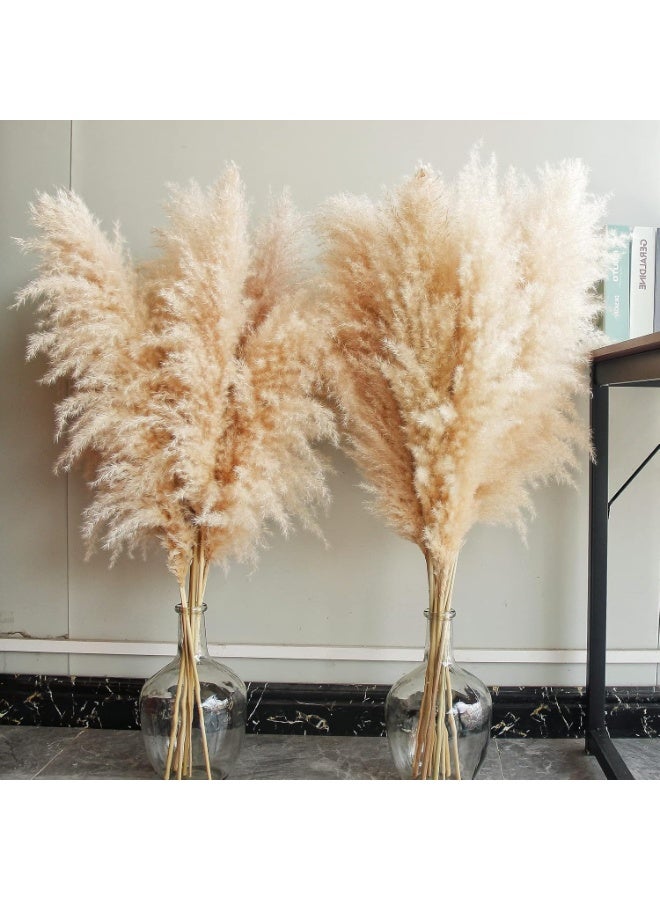 LATIFA 40" inch 10 Stems Natural Pampas Grass Decor Tall, pompas Grass, Tall Pampas Grass for Wedding, Party, Farmhouse, Boho Home Decor - Image 3