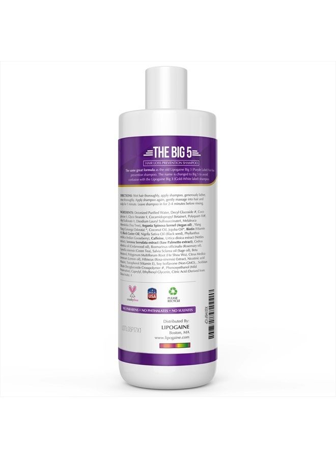 Lipogaine Big 5 Hair Stimulating Shampoo for Hair Thinning & Breakage, for All Hair Types, Men and Women, Infused With Biotin, Caffeine, Argan Oil, Castor oil and Saw Palmetto (Purple) - Image 4