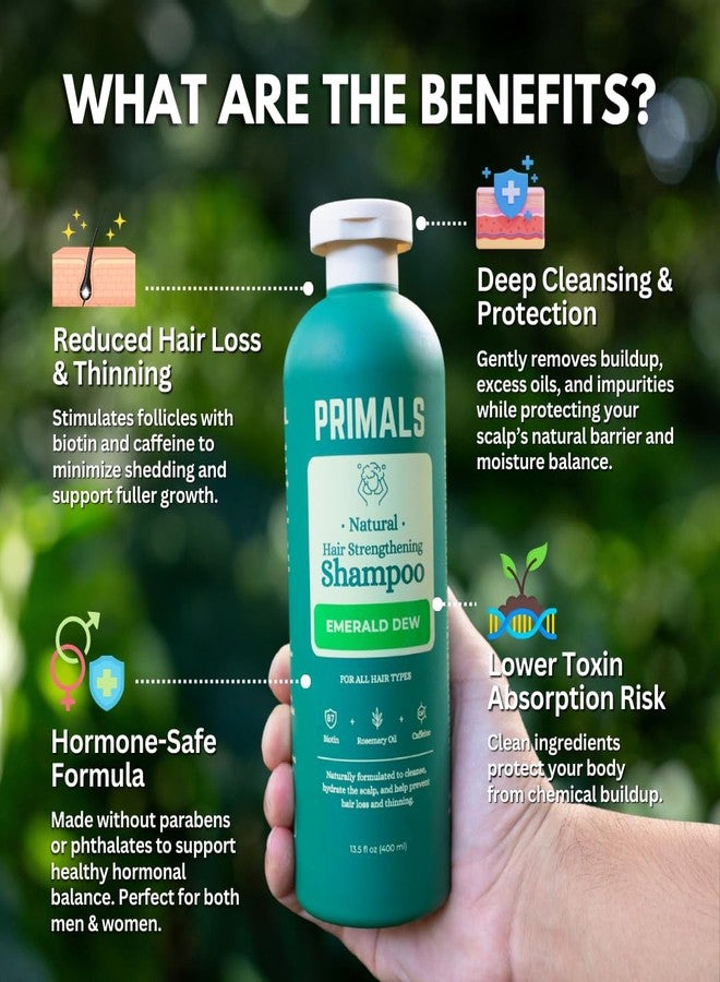 PRIMALS Hair Strengthening Shampoo - Caffiene, Biotin, Raw Honey, Rosemary Oil - Anti Hair Thinning - Natural Ingredients - Zero Artificial Fragrances, Sulfates, Parabens, or Dyes - 13.5 Fl Oz - Image 2